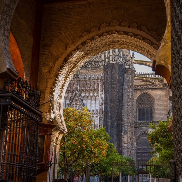 Activites a faire a Seville : apercu de la Cathedrale de Seville
